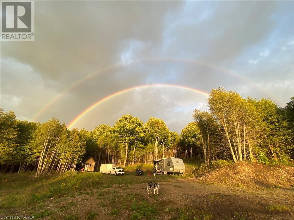 3499 Deloro Road, Eldorado, Ontario  K0K 1Y0 - Photo 30 - 40587084