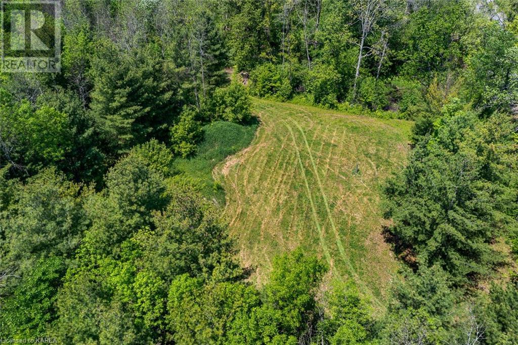 Lot 0, County Road 27 N/a, Stone Mills, Ontario  K0K 1Z0 - Photo 17 - 40597983