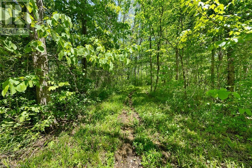 Lot 0, County Road 27 N/a, Stone Mills, Ontario  K0K 1Z0 - Photo 25 - 40597983