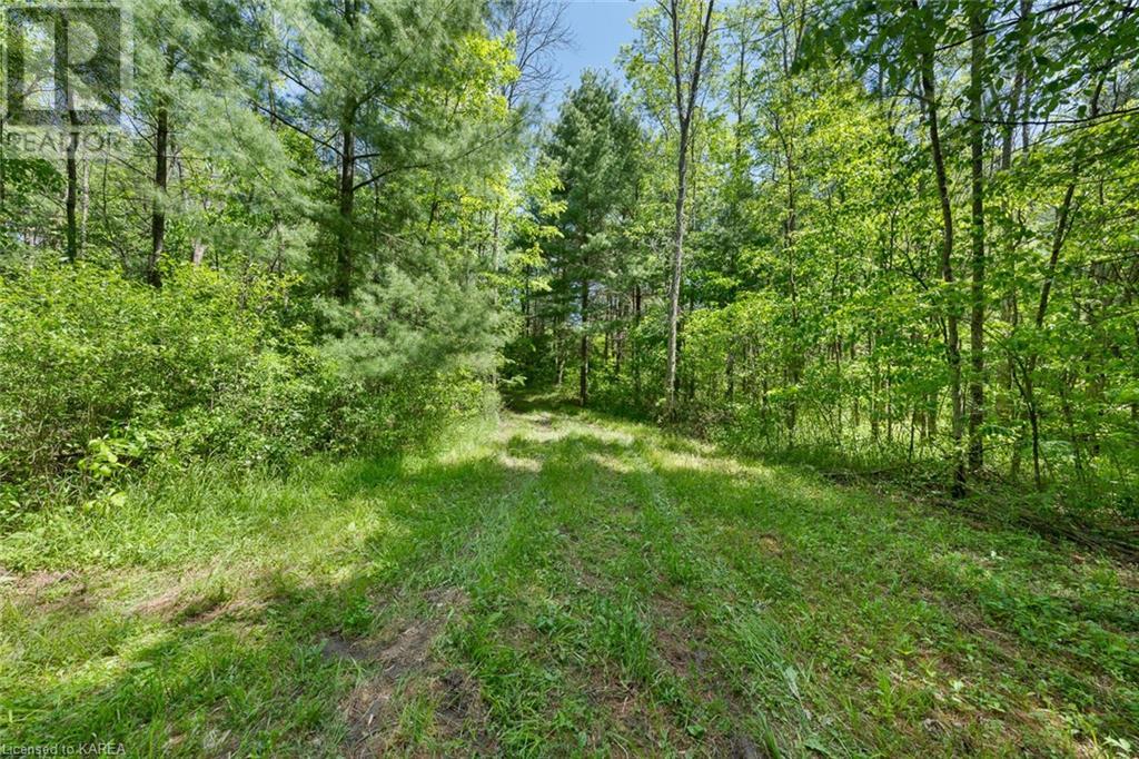 Lot 0, County Road 27 N/a, Stone Mills, Ontario  K0K 1Z0 - Photo 30 - 40597983