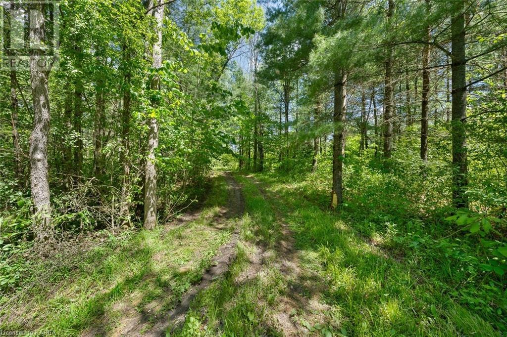 Lot 0, County Road 27 N/a, Stone Mills, Ontario  K0K 1Z0 - Photo 31 - 40597983