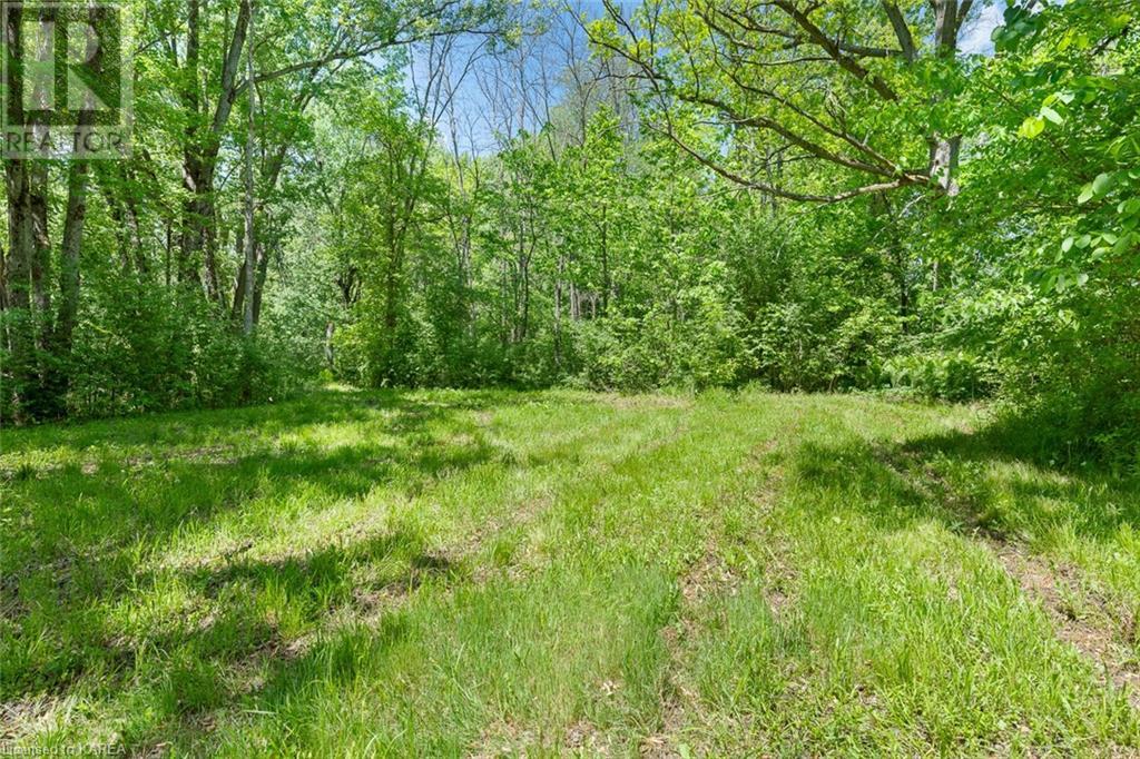 Lot 0, County Road 27 N/a, Stone Mills, Ontario  K0K 1Z0 - Photo 4 - 40597983