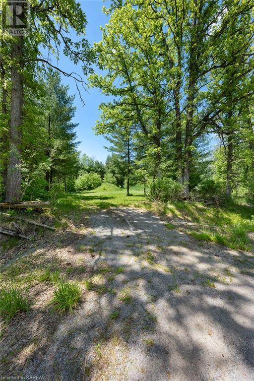 Lot 0, County Road 27 N/a, Stone Mills, Ontario  K0K 1Z0 - Photo 42 - 40597983