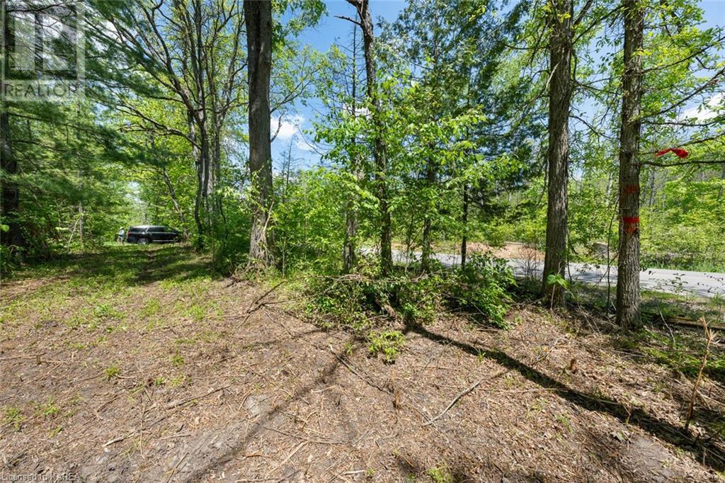 Lot 0, County Road 27 N/a, Stone Mills, Ontario  K0K 1Z0 - Photo 46 - 40597983