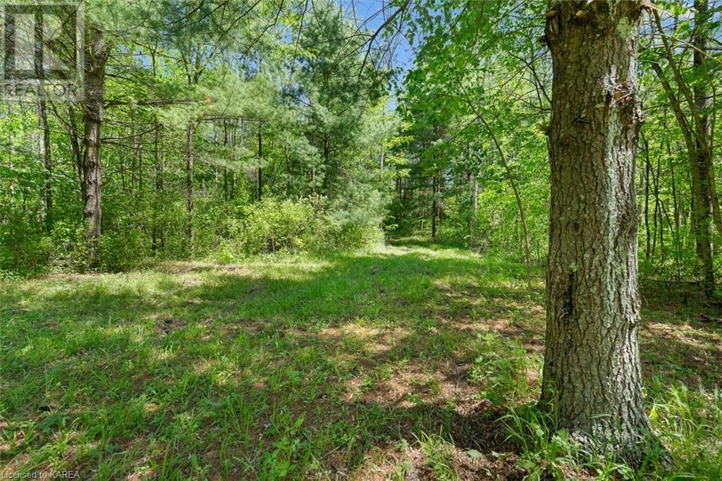 Lot 0, County Road 27 N/a, Stone Mills, Ontario  K0K 1Z0 - Photo 5 - 40597983