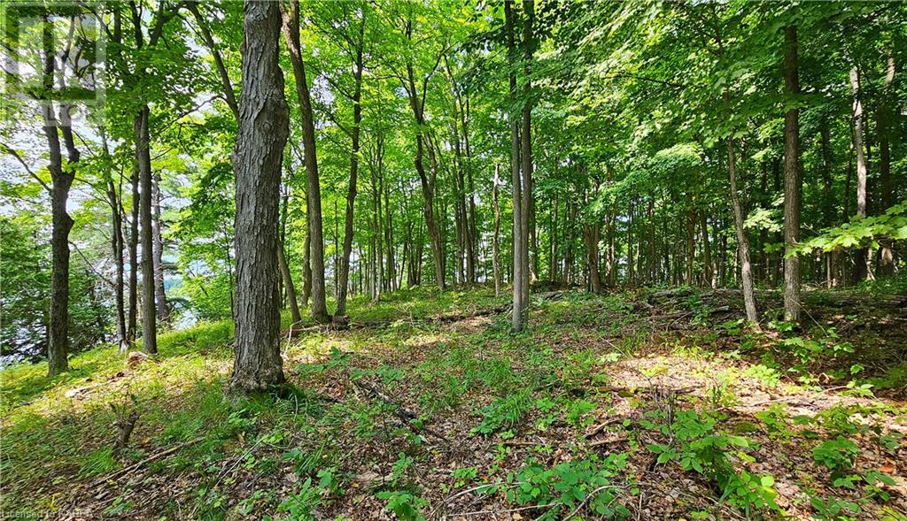 0 Partridge Island, Delta, Ontario  K0E 1G0 - Photo 14 - 40600261