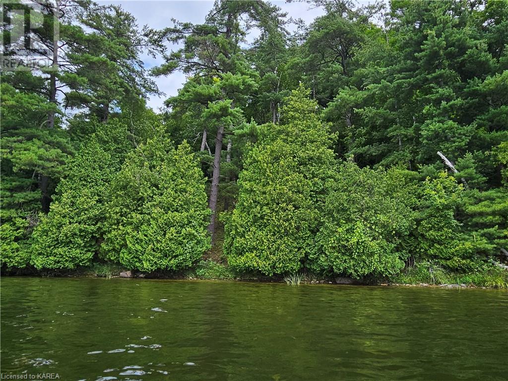 0 Partridge Island, Delta, Ontario  K0E 1G0 - Photo 16 - 40600261