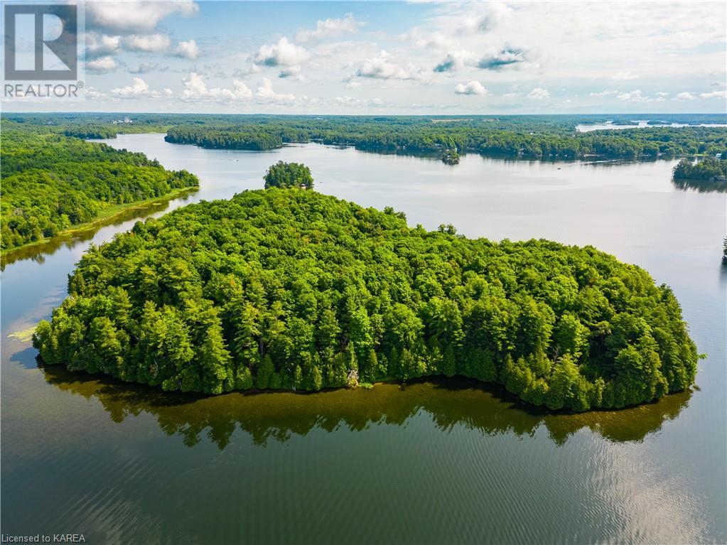 0 Partridge Island, Delta, Ontario  K0E 1G0 - Photo 3 - 40600261