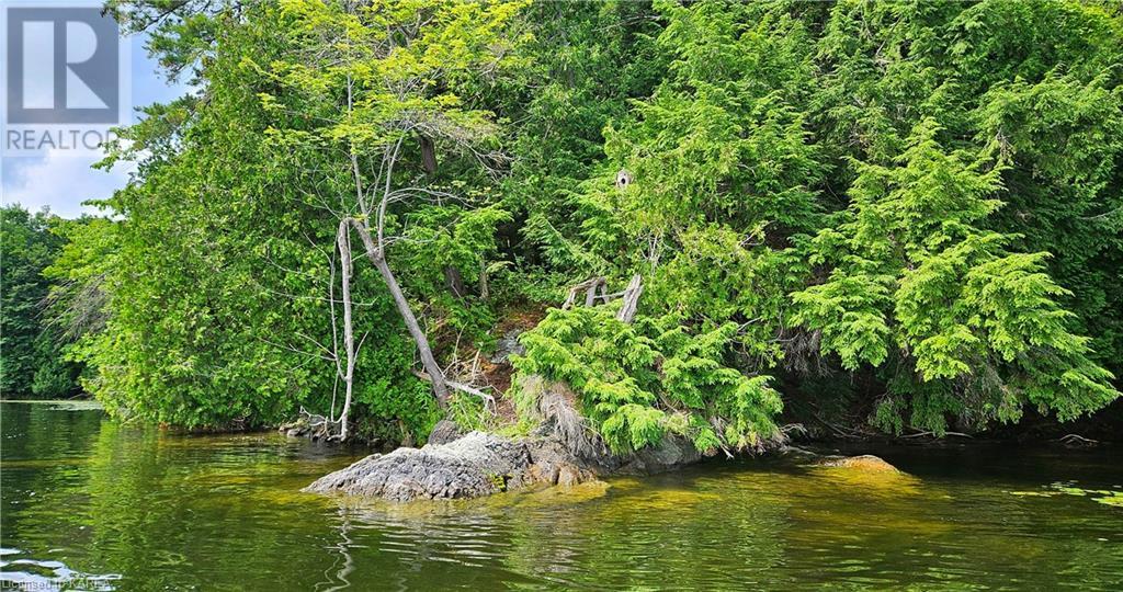 0 Partridge Island, Delta, Ontario  K0E 1G0 - Photo 4 - 40600261