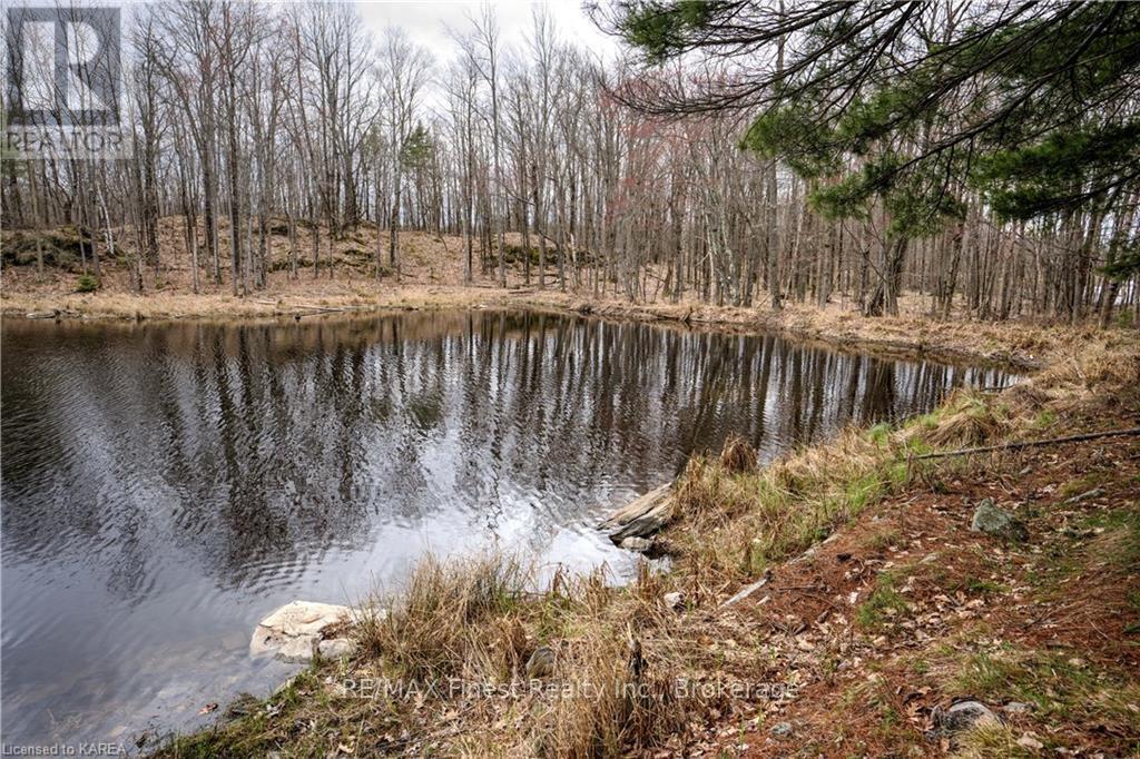 Old Sulphide Road, Tweed, Ontario  K0K 3A0 - Photo 12 - X9410897