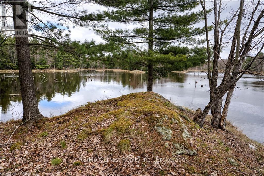 Old Sulphide Road, Tweed, Ontario  K0K 3A0 - Photo 15 - X9410897