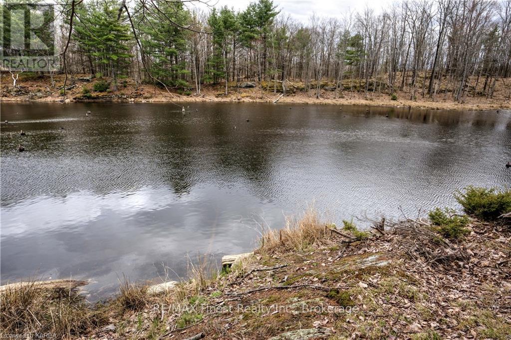 Old Sulphide Road, Tweed, Ontario  K0K 3A0 - Photo 16 - X9410897