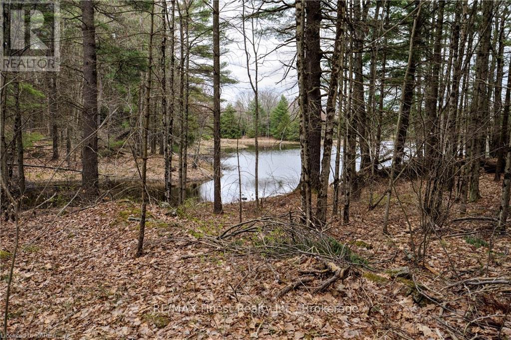 Old Sulphide Road, Tweed, Ontario  K0K 3A0 - Photo 20 - X9410897