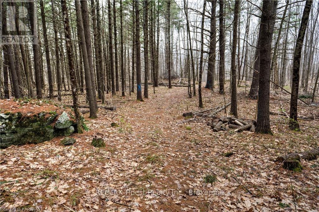 Old Sulphide Road, Tweed, Ontario  K0K 3A0 - Photo 25 - X9410897