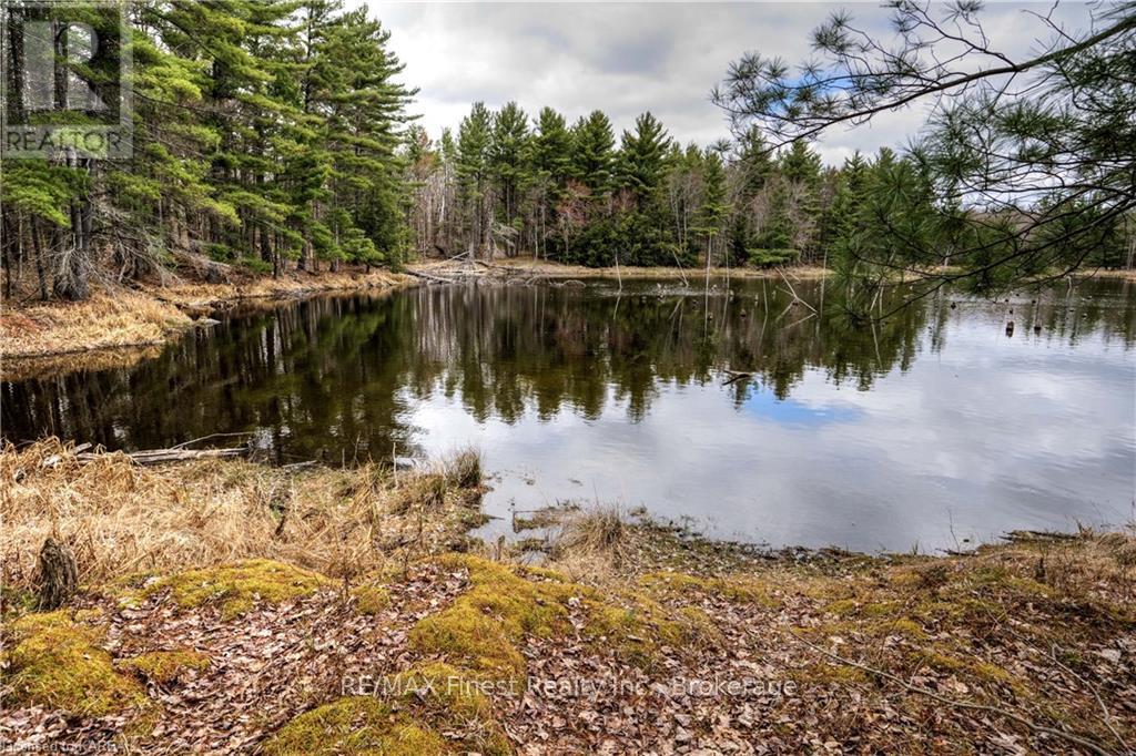 Old Sulphide Road, Tweed, Ontario  K0K 3A0 - Photo 28 - X9410897