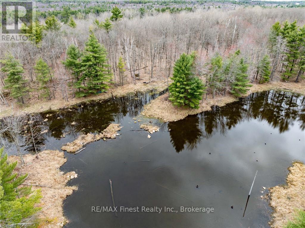 Old Sulphide Road, Tweed, Ontario  K0K 3A0 - Photo 36 - X9410897