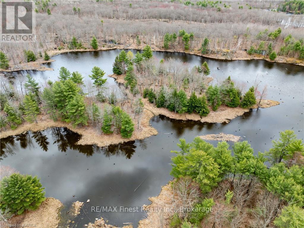 Old Sulphide Road, Tweed, Ontario  K0K 3A0 - Photo 38 - X9410897