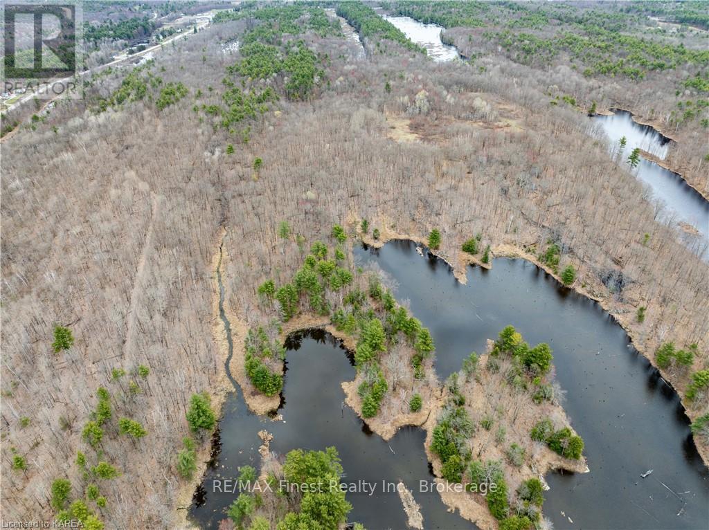 Old Sulphide Road, Tweed, Ontario  K0K 3A0 - Photo 39 - X9410897