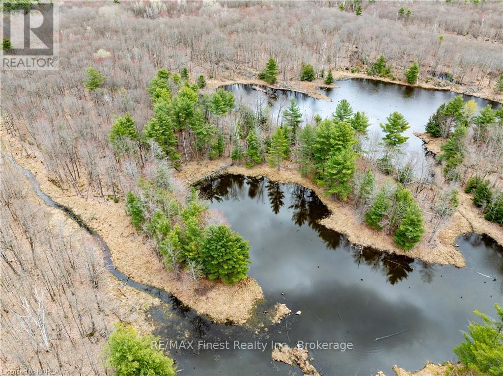 Old Sulphide Road, Tweed, Ontario  K0K 3A0 - Photo 5 - X9410897