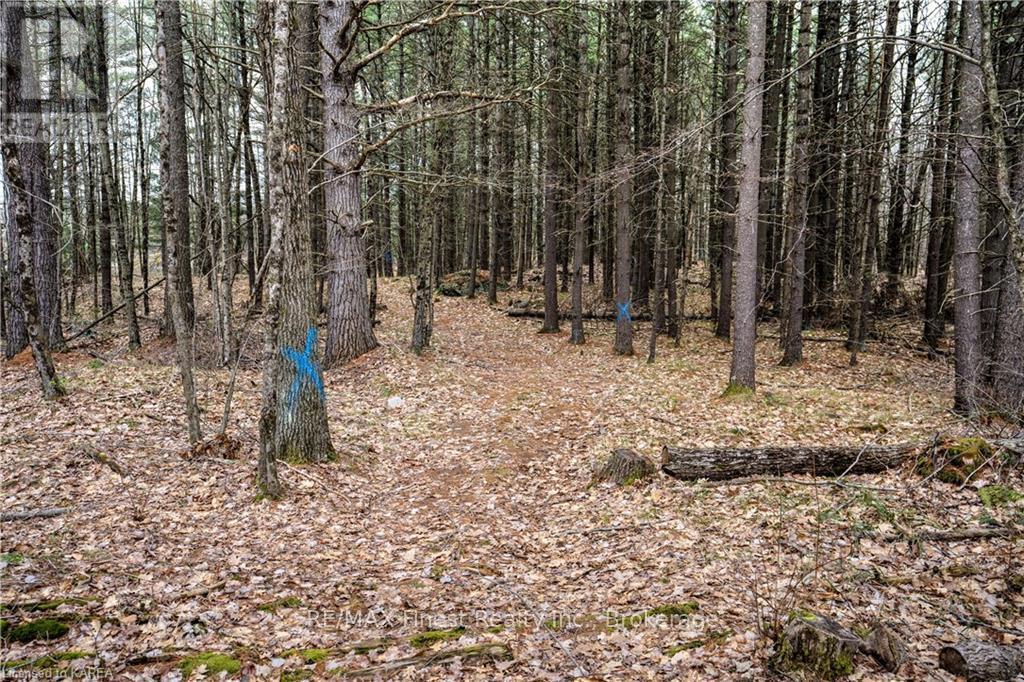 Old Sulphide Road, Tweed, Ontario  K0K 3A0 - Photo 7 - X9410897