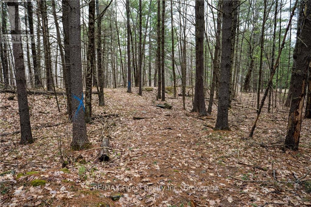 Old Sulphide Road, Tweed, Ontario  K0K 3A0 - Photo 9 - X9410897