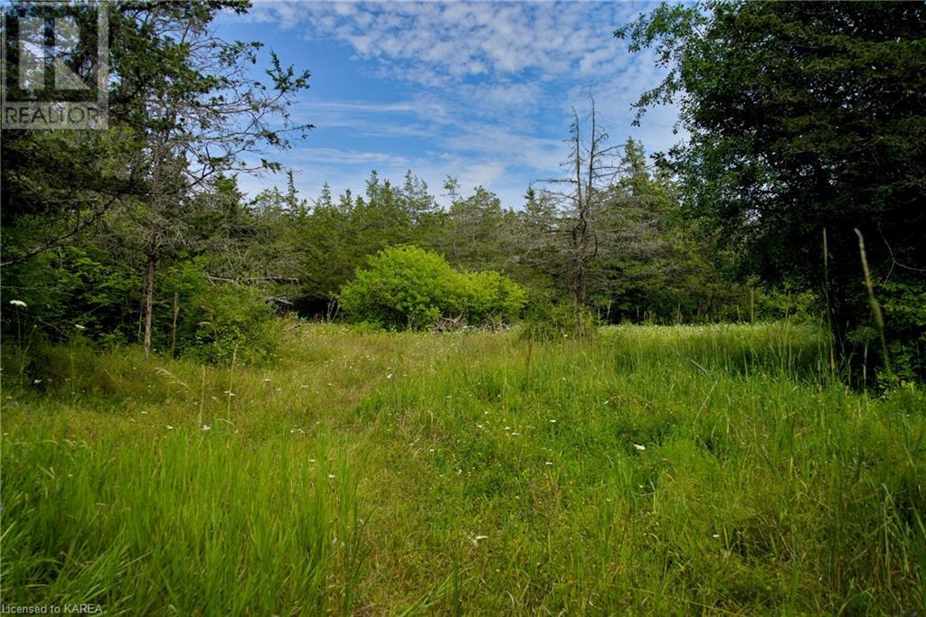 14005 Front Road, Stella, Ontario  K0H 2S0 - Photo 42 - 40606336