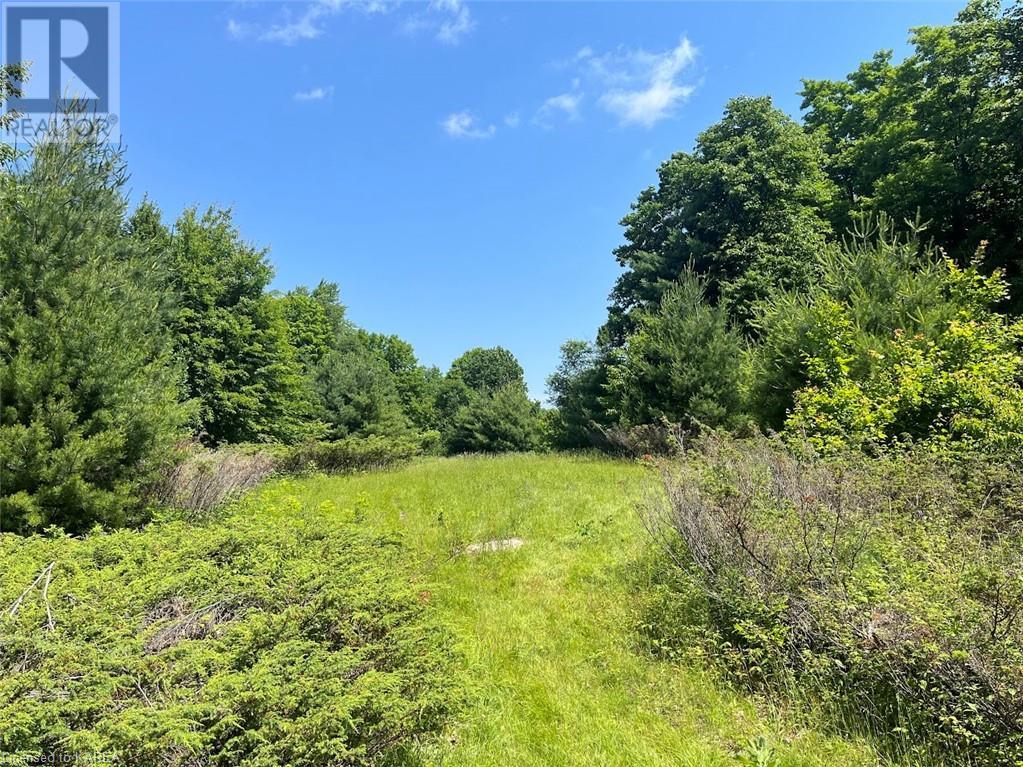 Lot 23-24 Arden Road, Tamworth, Ontario  K0K 3G0 - Photo 16 - 40606987