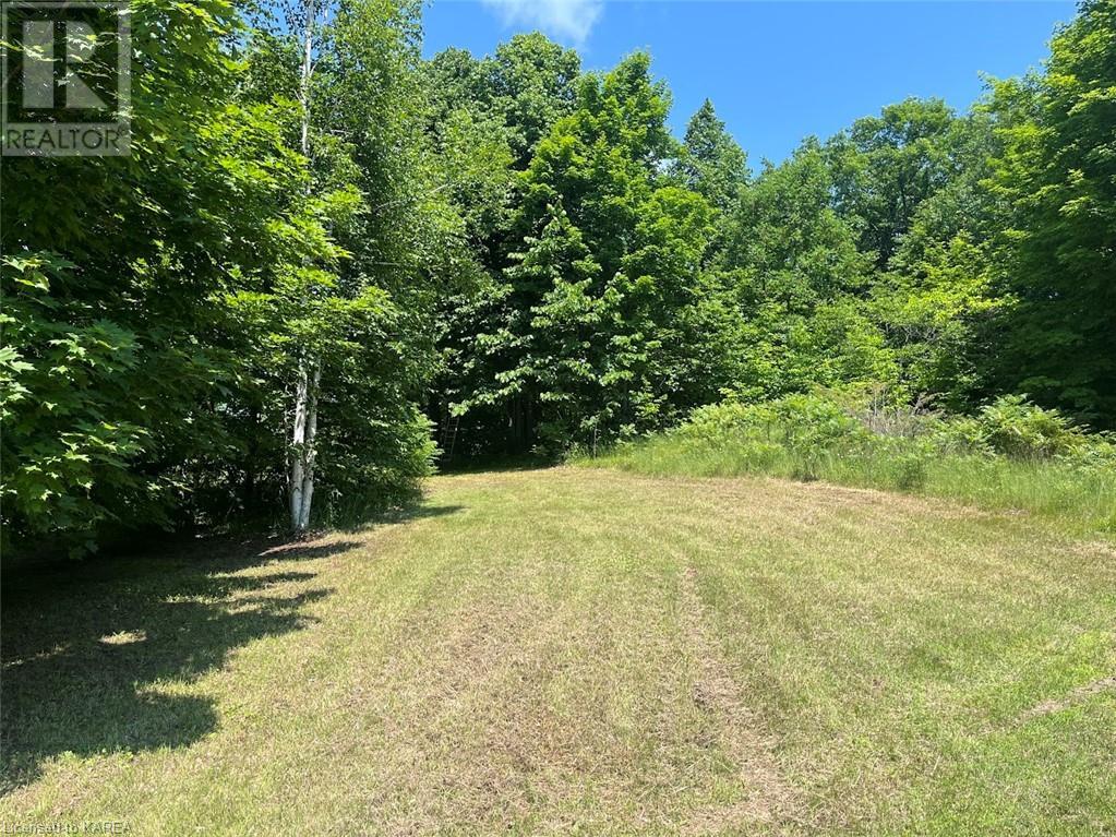 Lot 23-24 Arden Road, Tamworth, Ontario  K0K 3G0 - Photo 21 - 40606987