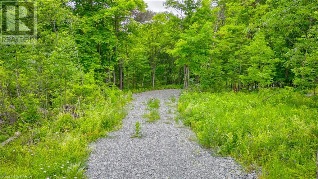 Lt 12 Devil Lake Road, Westport, Ontario  K0G 1X0 - Photo 11 - 40600551