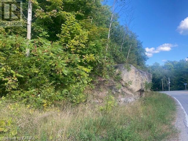 Lot Jones Falls Road, Elgin, Ontario  K0G 1E0 - Photo 10 - 40612872