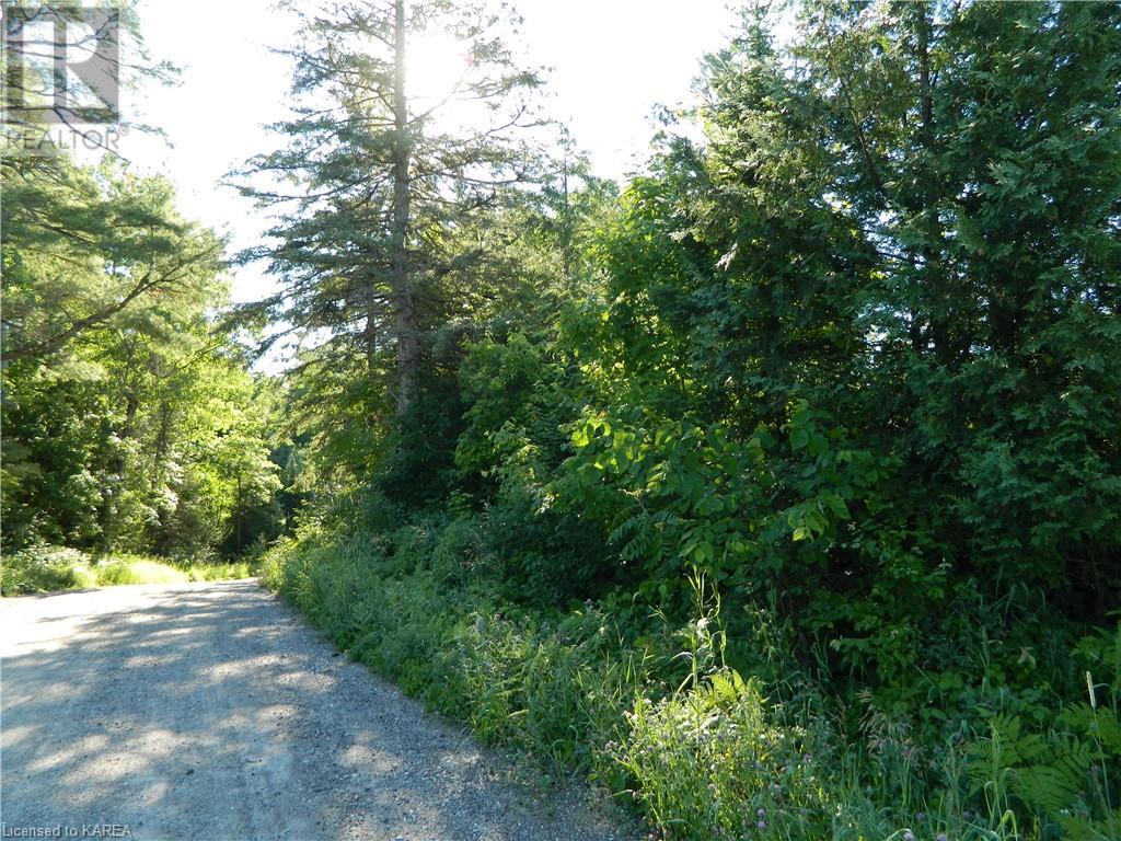 Pt Lt 20 Bell Line Road, Mountain Grove, Ontario  K0H 2E0 - Photo 9 - 40609741