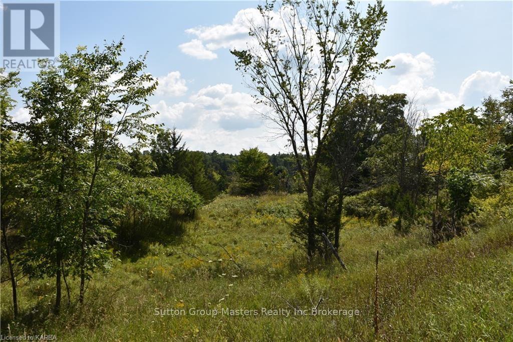 0 James Wilson Road, South Frontenac (Frontenac South), Ontario  K0H 1W0 - Photo 34 - X9411520