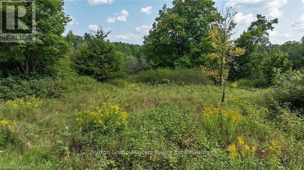 0 James Wilson Road, South Frontenac (Frontenac South), Ontario  K0H 1W0 - Photo 39 - X9411520