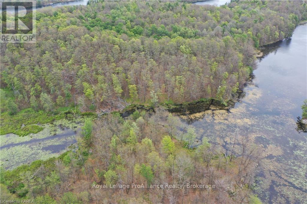 Pt Lt 7 Smiths Bay Lot, Rideau Lakes, Ontario  K0G 1E0 - Photo 11 - X9411418