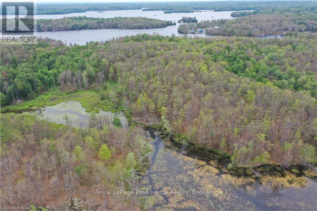 Pt Lt 7 Smiths Bay Lot, Rideau Lakes, Ontario  K0G 1E0 - Photo 12 - X9411418