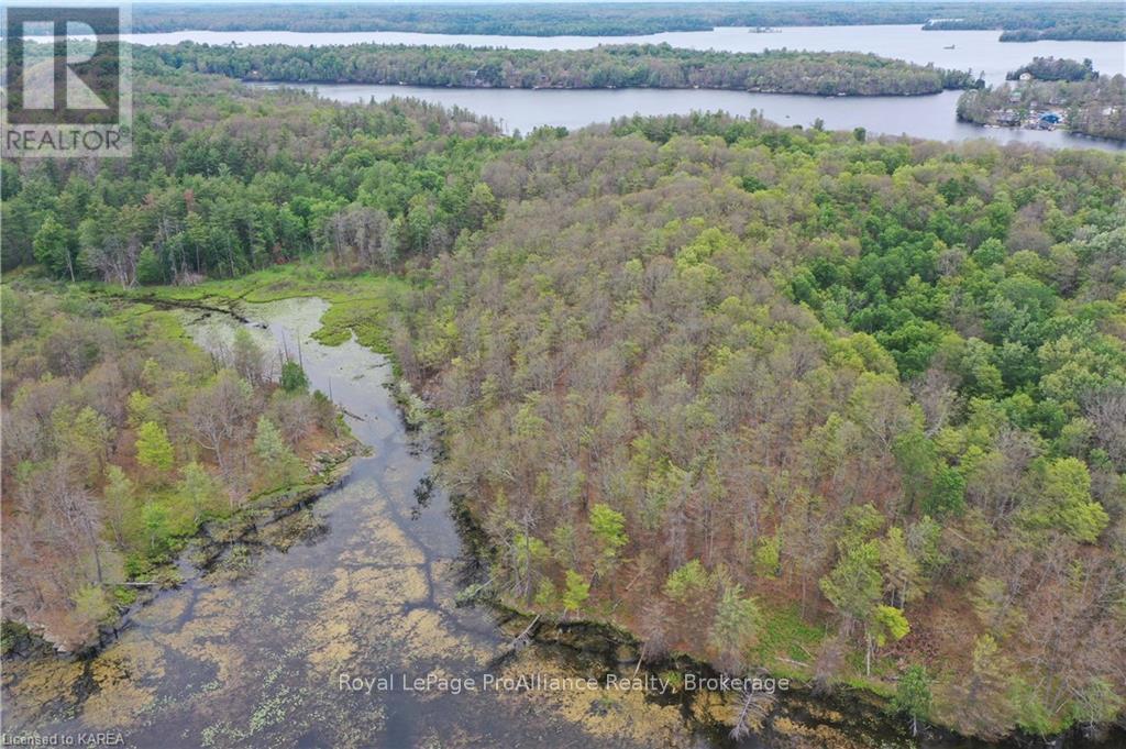 Pt Lt 7 Smiths Bay Lot, Rideau Lakes, Ontario  K0G 1E0 - Photo 14 - X9411418