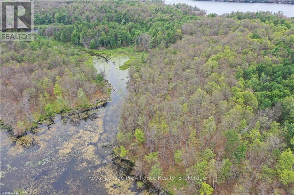 Pt Lt 7 Smiths Bay Lot, Rideau Lakes, Ontario  K0G 1E0 - Photo 15 - X9411418