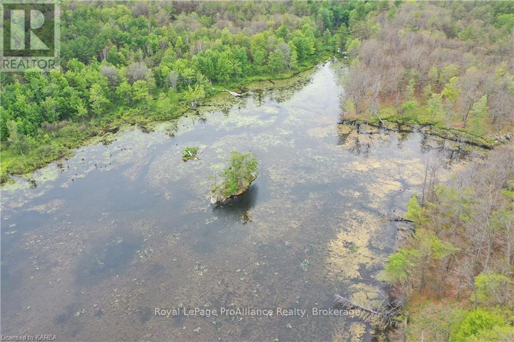 Pt Lt 7 Smiths Bay Lot, Rideau Lakes, Ontario  K0G 1E0 - Photo 7 - X9411418