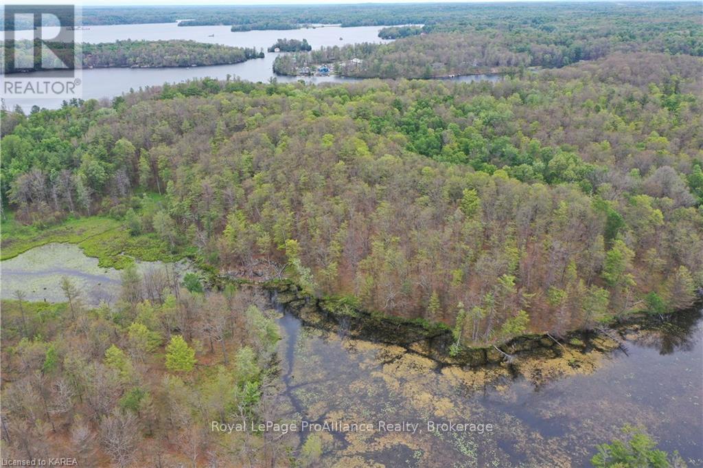 Pt Lt 7 Smiths Bay Lot, Rideau Lakes, Ontario  K0G 1E0 - Photo 9 - X9411418