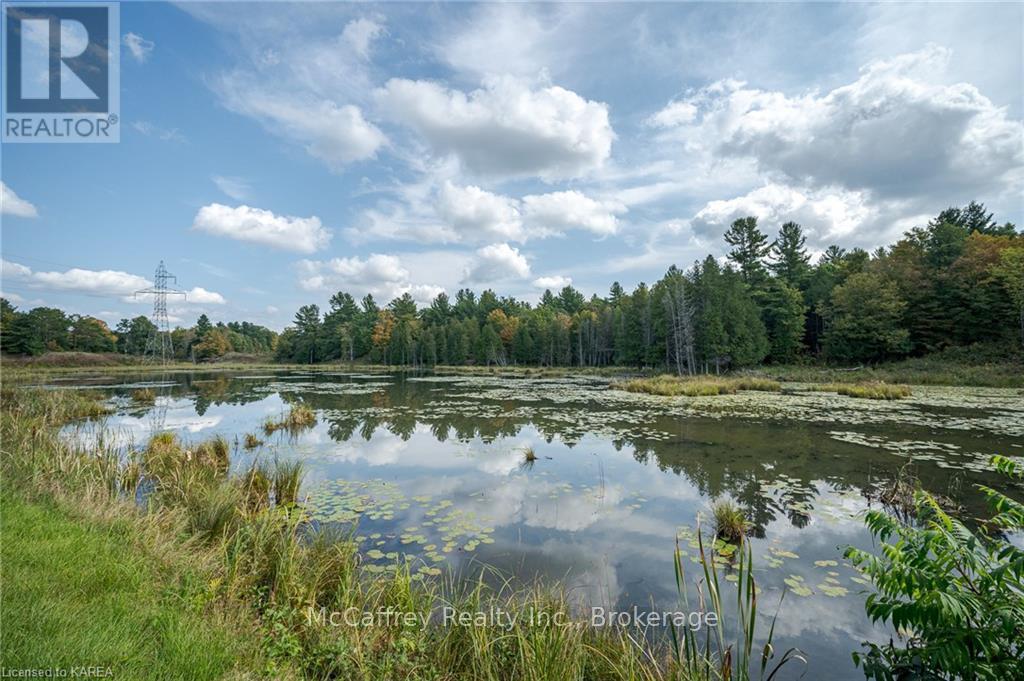 2970 Mountain Road, Stone Mills, Ontario  K0K 1Z0 - Photo 3 - X9411700