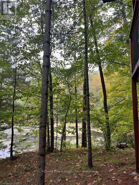 2305e Opinicon Road, Rideau Lakes, Ontario  K0G 1E0 - Photo 32 - X9411826