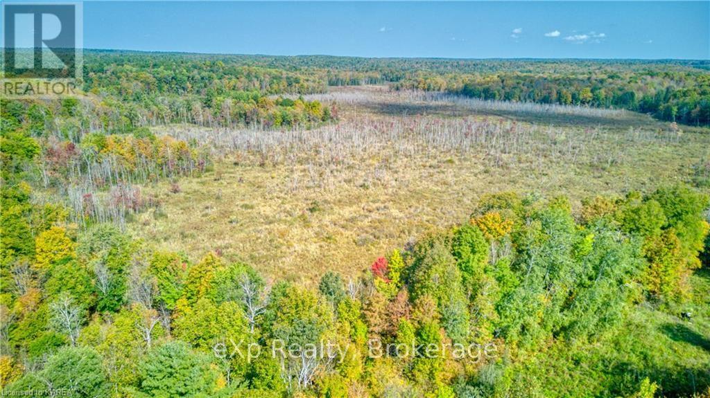 2248 Babcock Road, Central Frontenac (Frontenac Centre), Ontario  K0H 2K0 - Photo 16 - X9412374