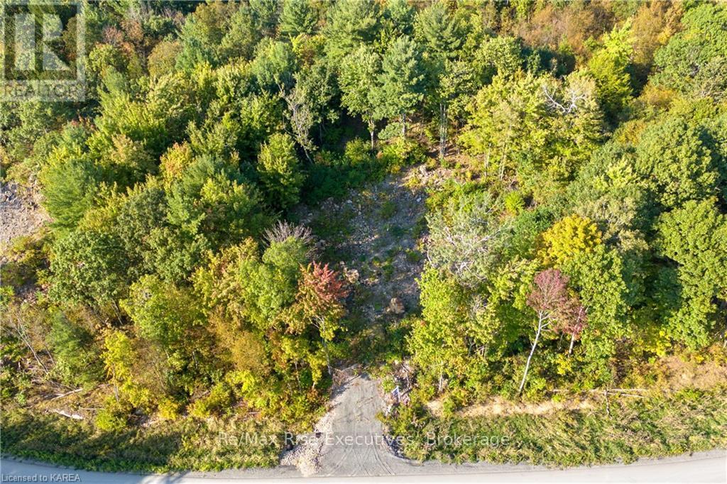 Lot B4 Hetu Road, Leeds And The Thousand Islands, Ontario  K7G 2V3 - Photo 5 - X9412736