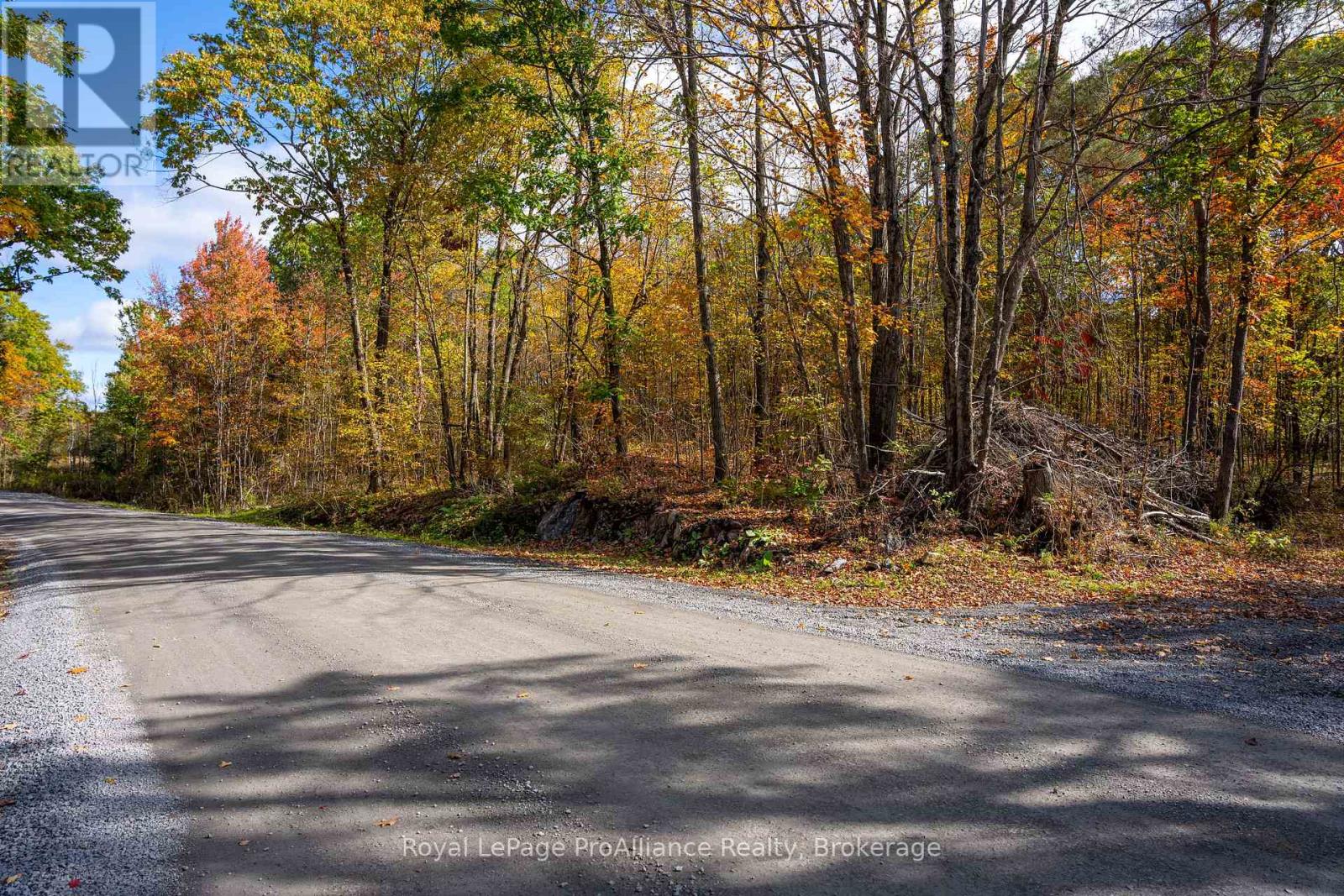 Pt Lots 12 & 13 Devil Lake Road, South Frontenac (Frontenac South), Ontario  K0G 1X0 - Photo 10 - X9413105