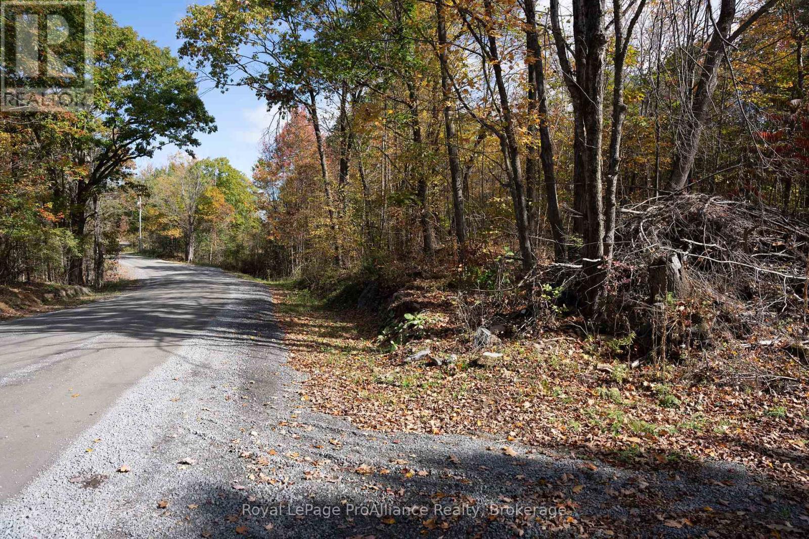 Pt Lots 12 & 13 Devil Lake Road, South Frontenac (Frontenac South), Ontario  K0G 1X0 - Photo 11 - X9413105