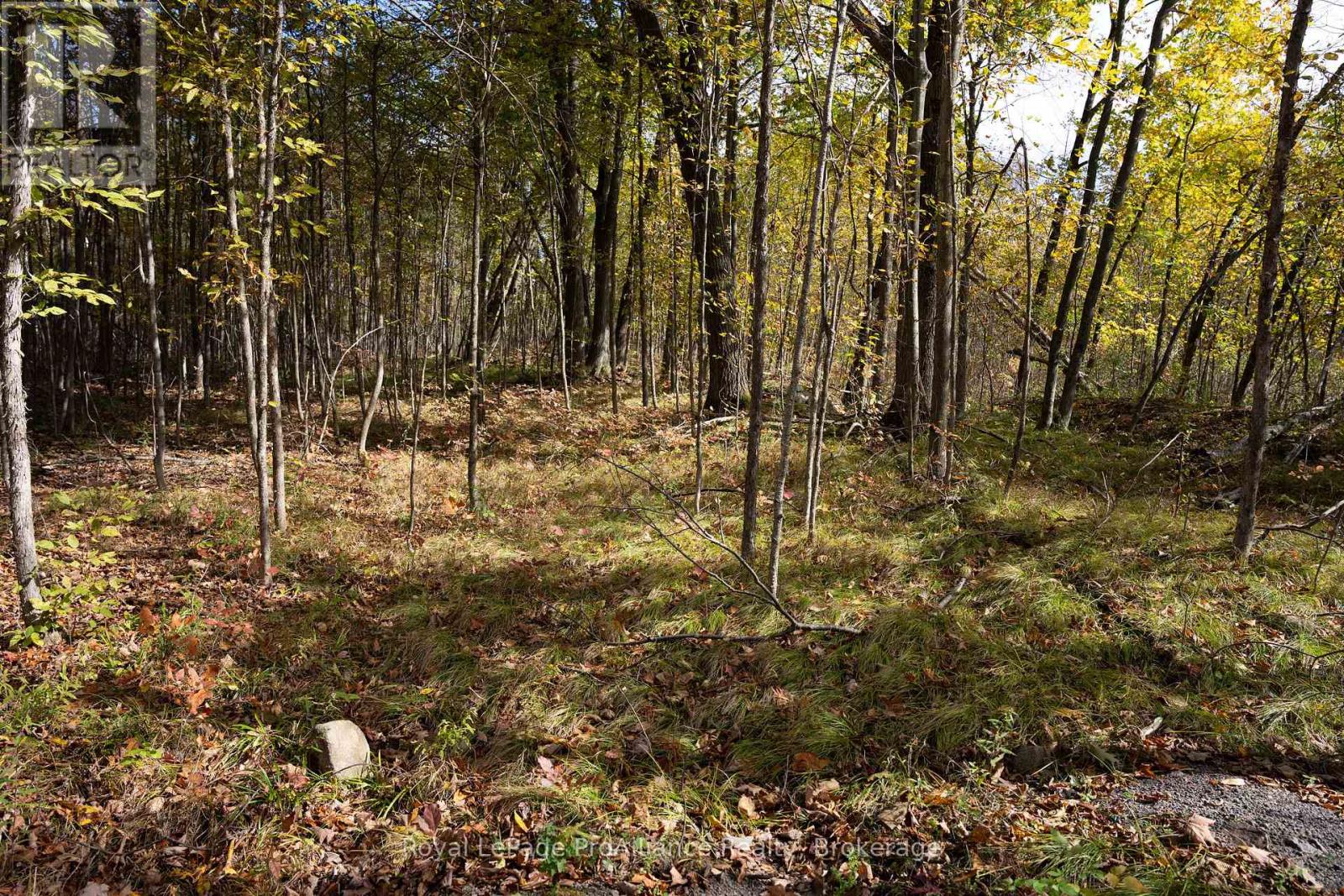 Pt Lots 12 & 13 Devil Lake Road, South Frontenac (Frontenac South), Ontario  K0G 1X0 - Photo 12 - X9413105