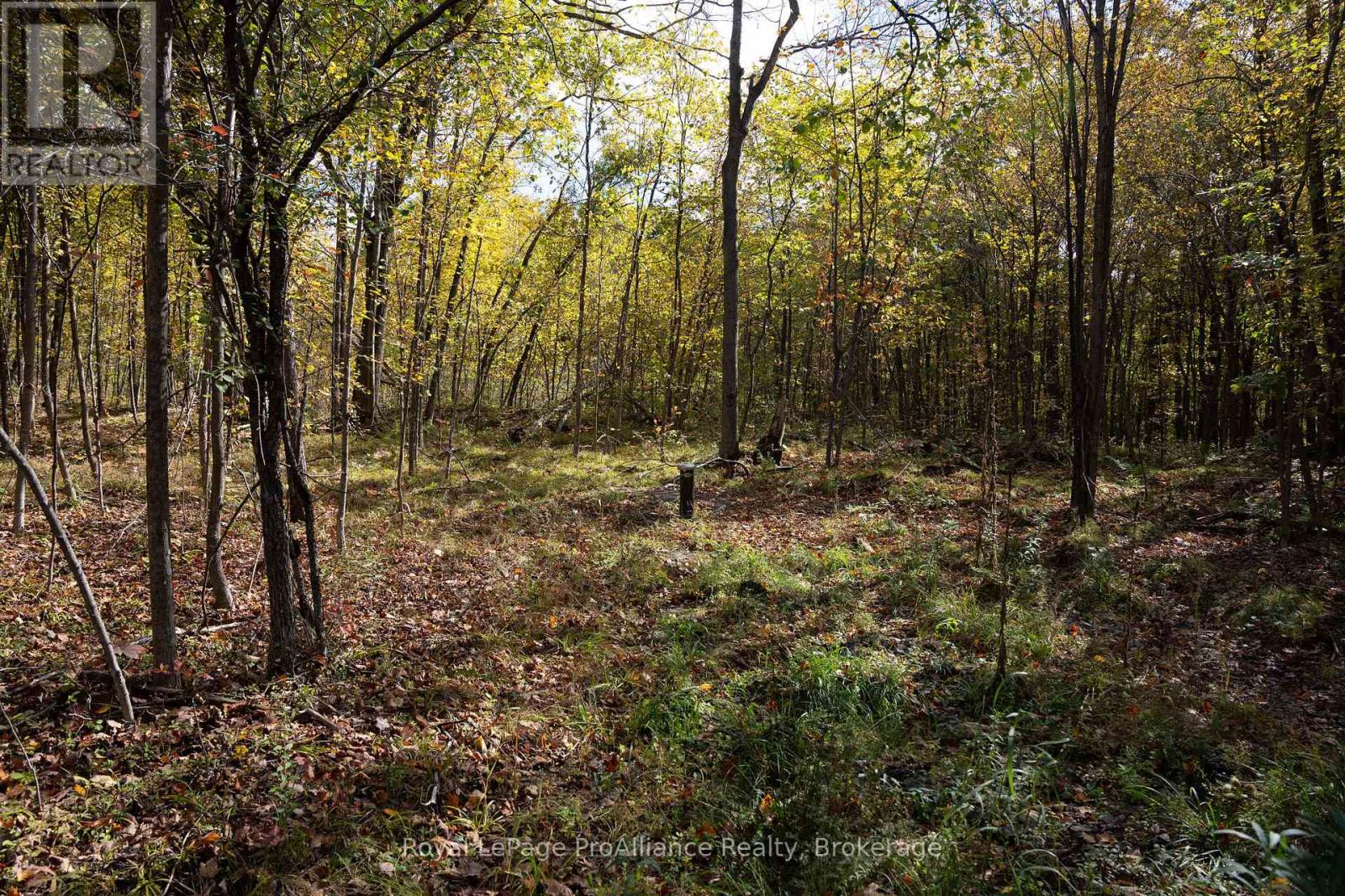 Pt Lots 12 & 13 Devil Lake Road, South Frontenac (Frontenac South), Ontario  K0G 1X0 - Photo 13 - X9413105