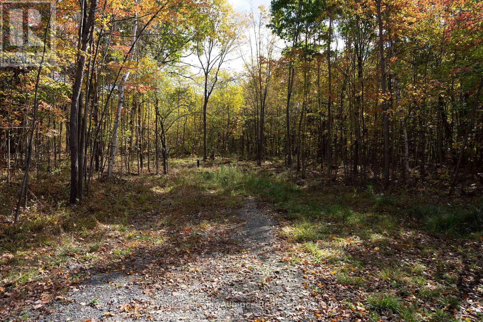 Pt Lots 12 & 13 Devil Lake Road, South Frontenac (Frontenac South), Ontario  K0G 1X0 - Photo 14 - X9413105