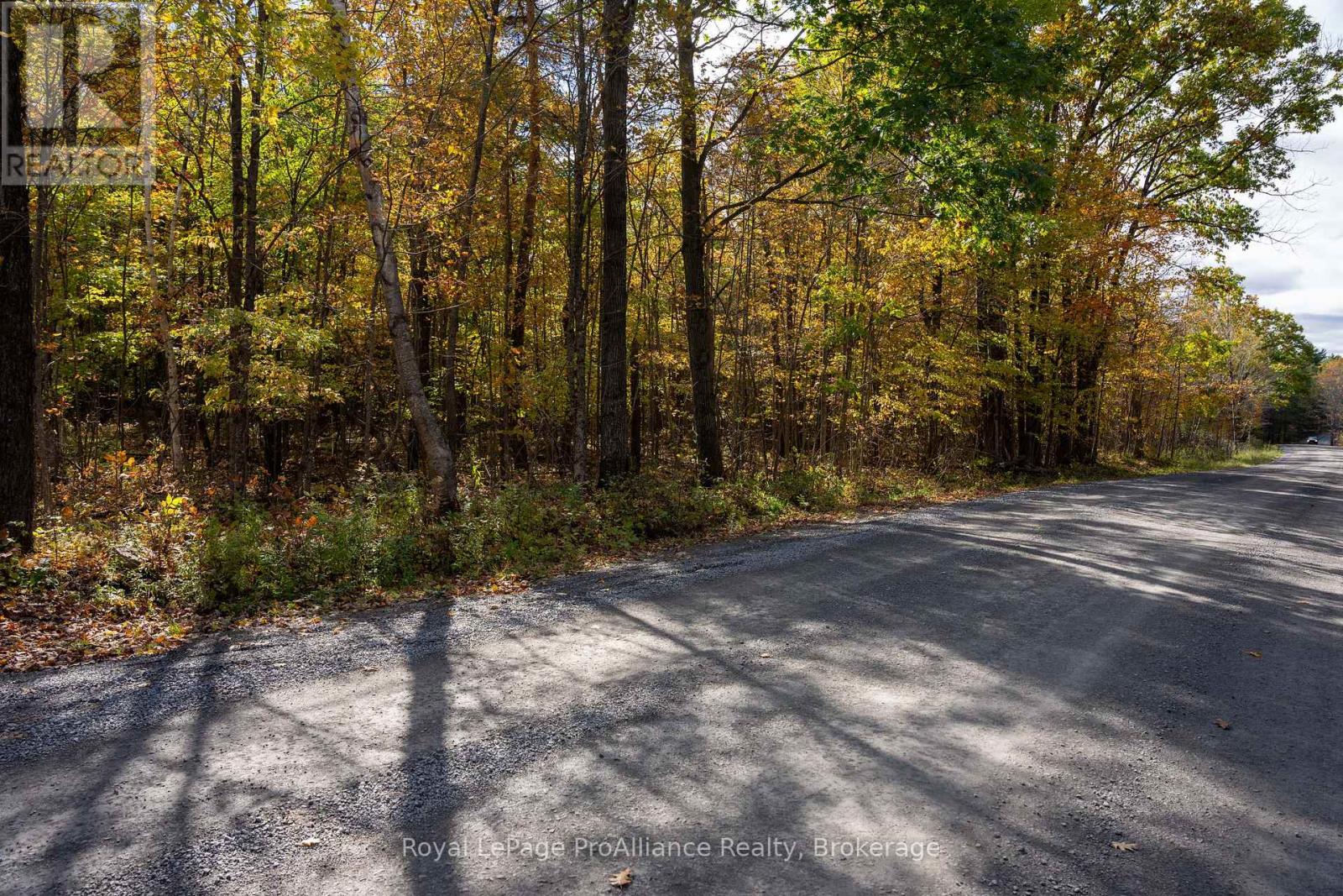 Pt Lots 12 & 13 Devil Lake Road, South Frontenac (Frontenac South), Ontario  K0G 1X0 - Photo 15 - X9413105