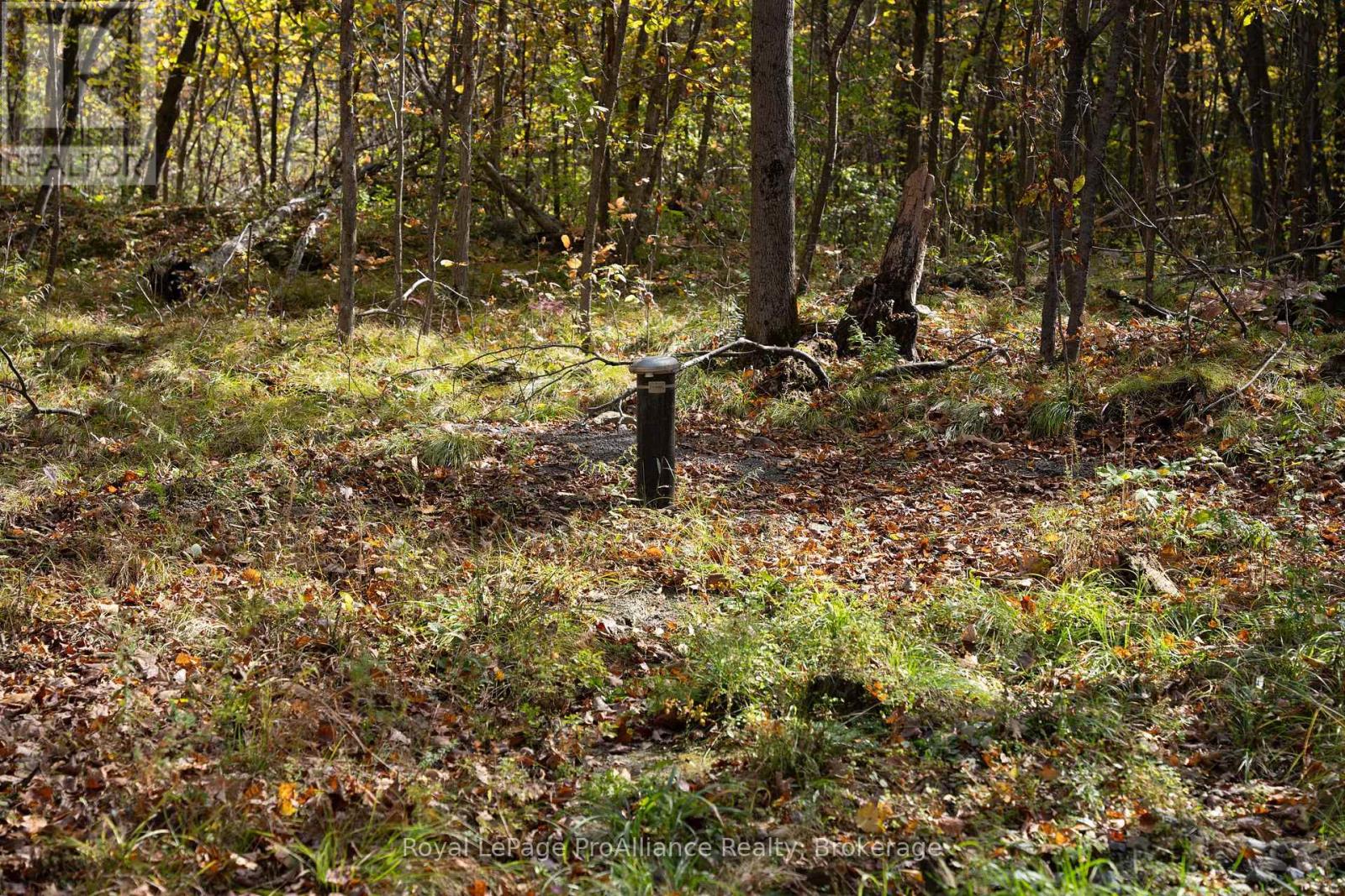 Pt Lots 12 & 13 Devil Lake Road, South Frontenac (Frontenac South), Ontario  K0G 1X0 - Photo 16 - X9413105